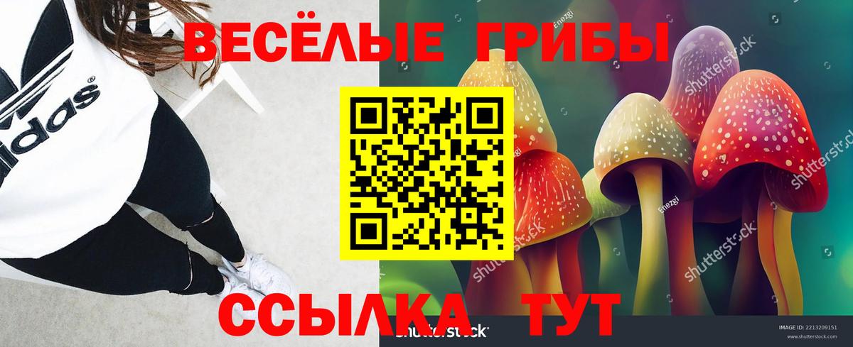 Псилоцибиновые грибы Psilocybe  Псилоцибиновые грибы прущие грибы  Среднеуральск  Вход с VPN 